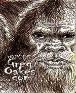 Bigfoot Sasquatch picture