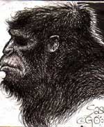 Bigfoot Sasquatch picture