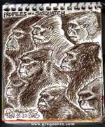 Bigfoot Sasquatch picture
