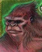 Bigfoot Sasquatch picture
