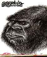Bigfoot Sasquatch picture