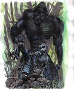 Bigfoot Sasquatch picture