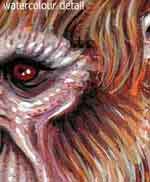 Bigfoot Sasquatch picture