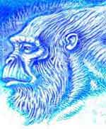 Bigfoot Sasquatch picture