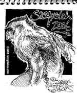 Bigfoot Sasquatch picture