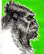 Bigfoot Sasquatch picture