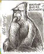 Bigfoot Sasquatch picture