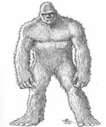 Bigfoot Sasquatch picture