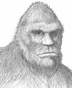 Bigfoot Sasquatch picture