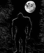 bigfoot pictures