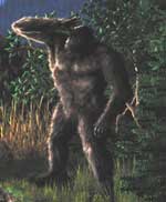 bigfoot sasquatch