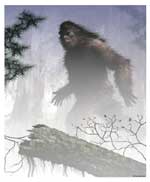 bigfoot sasquatch