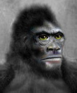 bigfoot sasquatch
