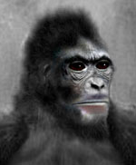 bigfoot sasquatch