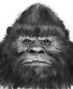 bigfoot sasquatch