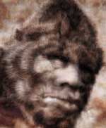 bigfoot sasquatch
