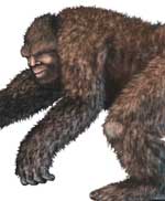 bigfoot sasquatch