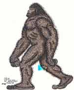 bigfoot sasquatch