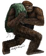 bigfoot sasquatch