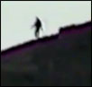 bigfoot video