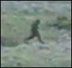 bigfoot video
